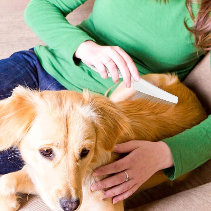 Combs for Pets - Pet Grooming Comb for Cats & Dogs Removes Tangles Knots with Stainless Steel Pins for Tear Stain Removal