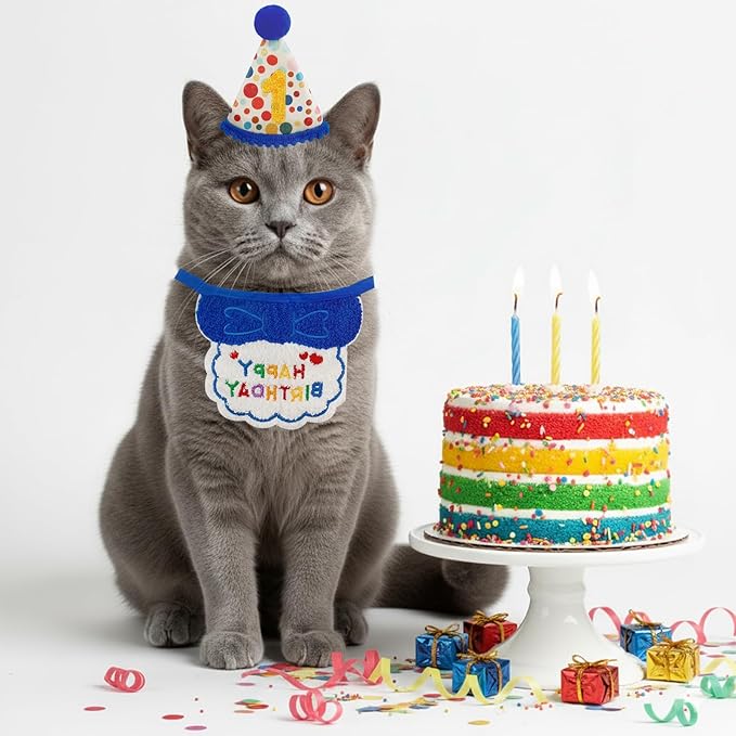 4PCS Blue Cat Birthday Party Supplies for Kitten Bandana Hat Number Decorations Pet Birthday Outfit Kit