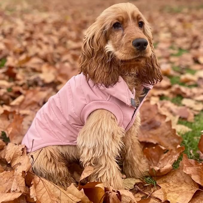 Blueberry Pet Cozy & Comfy Windproof Waterproof Quilted Fall Winter Dog Puffer Jacket in Pink, Back Length 15 3/4", Size 14", Warm Coat for Medium Dogs