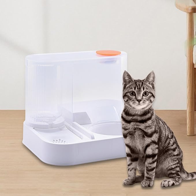 Pet Feeder and Water Dispenser for Cats and Dogs, Basic