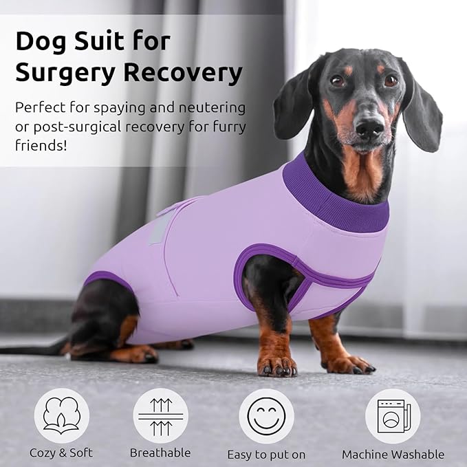 Queenmore Dog Surgical Recovery Suit Onesie, Recovery Suit for Dogs Cats After Surgery, Breathable Cotton Dog Surgery Suit Female Spay, Prevent Licking Pet Surgery Recovery Suit, Purple,XL
