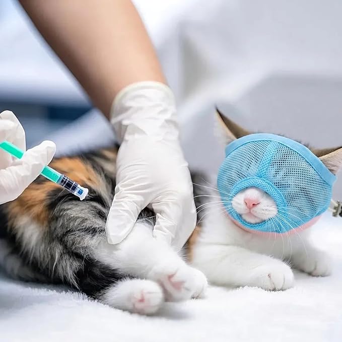 Pezluxe 2pcs Cat Muzzle for Grooming & Nail Trimming, Breathable Mesh Muzzles to Prevent Biting Chewing Scratching, Soft Cat Mouth Guard for Bathing Vet Visits (Blue, S)