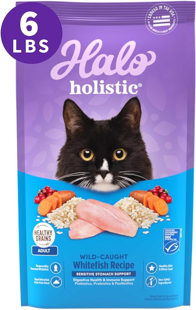 Halo Holistic Cat Food Wild Caught Whitefish Formula, Healthy Grains Dry Cat Food, For Sensitive Stomach Support, Kibble for Adult Cats, 6 lb Bag