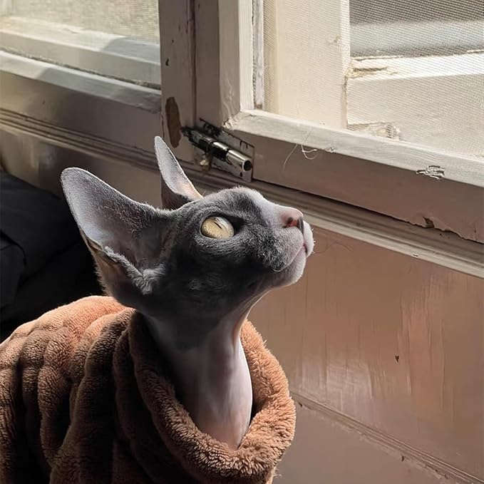 Turtleneck Sweater for Sphynx Cat Soft Coral Fleece Cat Clothes Thick Winter Warm Outfit Coat for Hairless Cats and Small Dogs Apparel with Sleeves (Brown, XL (9-13 lbs))