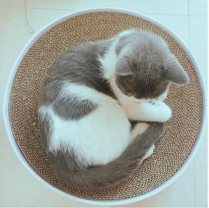 Round Cat Scratcher Bed, Corrugated Paper Furniture Protector, Marbling Bowl Shape, Suitable for Medium Large Cats, Multifunctional Lounge Pad