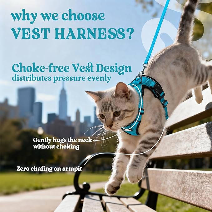 rabbitgoo Cat Harness and Leash for Walking, Escape Proof Soft Adjustable Vest Harnesses for Cats, Easy Control Breathable Reflective Strips Jacket, Teal, M