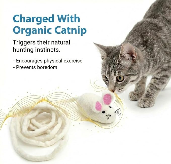 Glaciart One Felt Mouse Cat Toy – Soft Fuzzy Enrichment 100% Natural Wool - Interactive Catnip Play Cat Toy Set - Safe for Pets, Non-AZO Colored Dyes - 100” Long