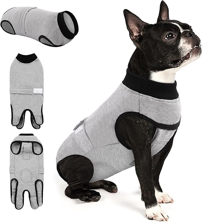 Queenmore Recovery Suit for Dogs Cats After Surgery,Dog Surgical Recovery Suit Onesie,Anti Licking Pet Female Post-Operative Spayed Neutered Puppy Surgical Clothes for Abdominal Wounds, Grey