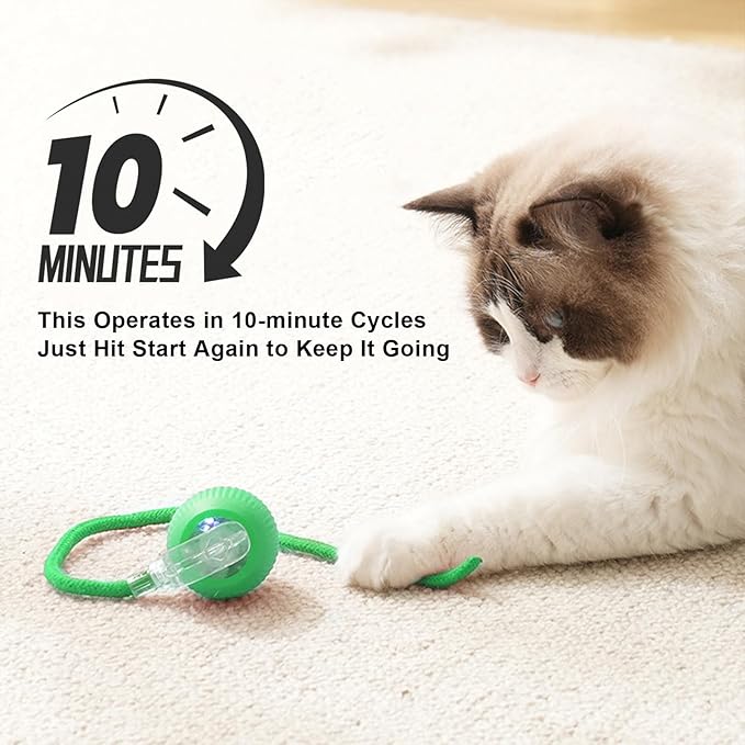 Goosheep 2025 New 1Pack Cat Ball Kitten Toys for Indoor Interactive Kitty Ball Toy Speedy Tail 360° Automatic Rolling for Dog, Cat(Green)