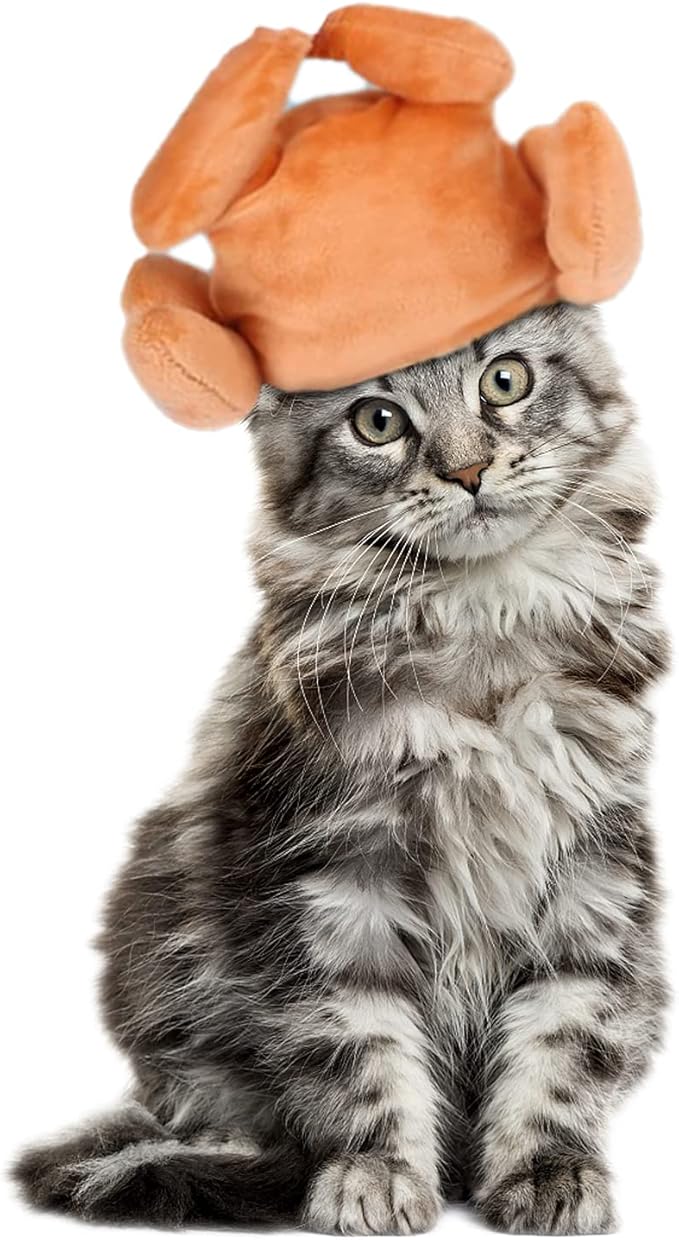 Thanksgiving Cat & Dog Turkey Headband - Funny Holiday Hat for Small Pets, Cats & Puppies