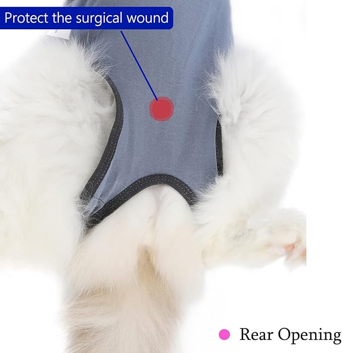kzrfojy Cat Surgery Recovery Suit Cat Onesie for Cats After Surgery Spay Surgical Abdominal Wound Skin Diseases E-Collar Alternative Wear (Grey-Blue-S)