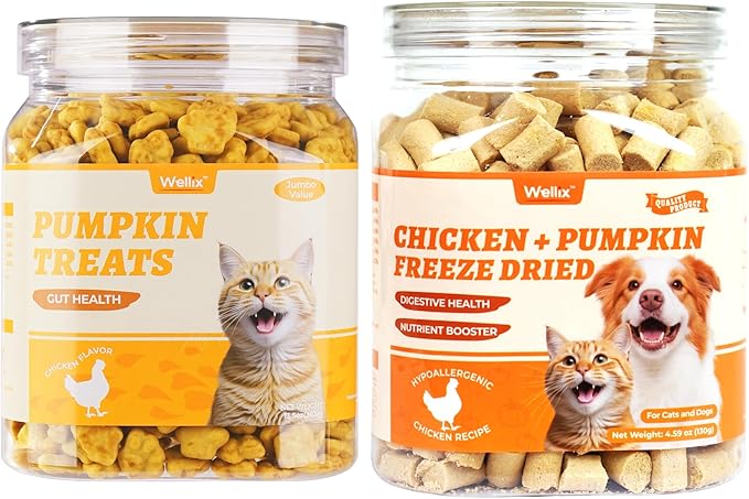 Wellix Cat Treats Pumpkin&Chicken & Pumpkin Raw Treat