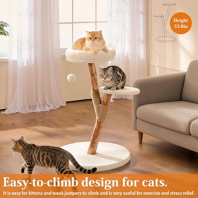 【2026 Upgraded】 YOCAN Modern Cat Tree Tower for Indoor Cats, 2-Tier Cat Furniture with Natural Wood Posts, Soft Plush Bed, Scratching Post & Hanging Ball Toy, Stylish Cat Climbing Tower