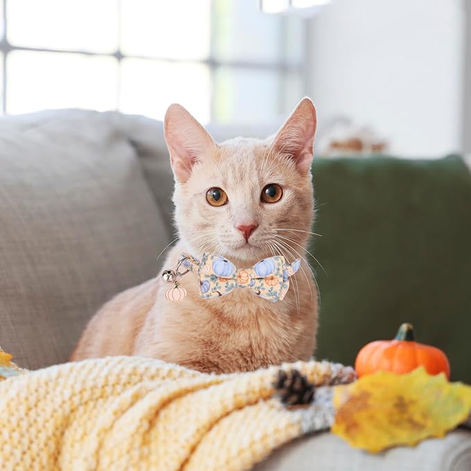 PTDECOR Thanksgiving Cat Collar Breakaway with Bow Tie Bell, Turkeys and Pumpkins Pattern Collar, Thanksgiving Bowtie Collars for Cats Kittens