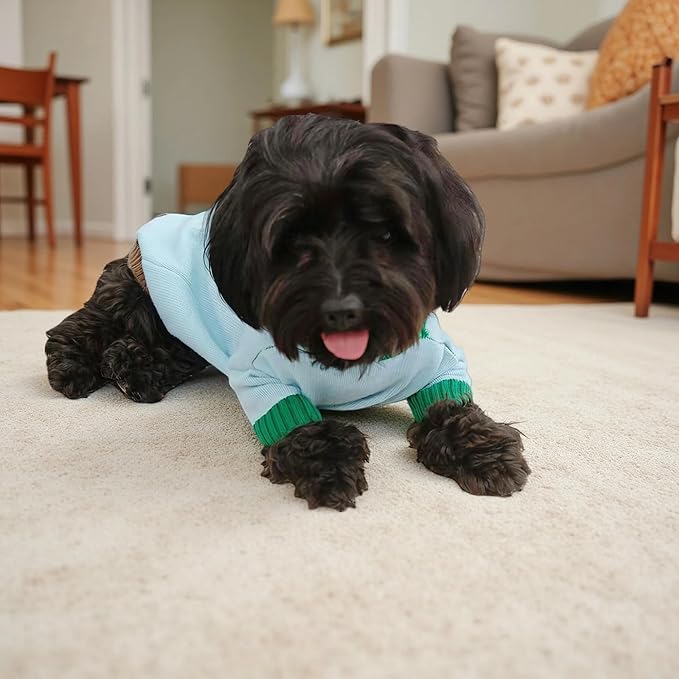 Winter Pet Knit Sweater - Light Blue with Red Fruit Print, Cozy Dog Cat Clothing, XS/S/M/L/XL Sizes (X-Small)