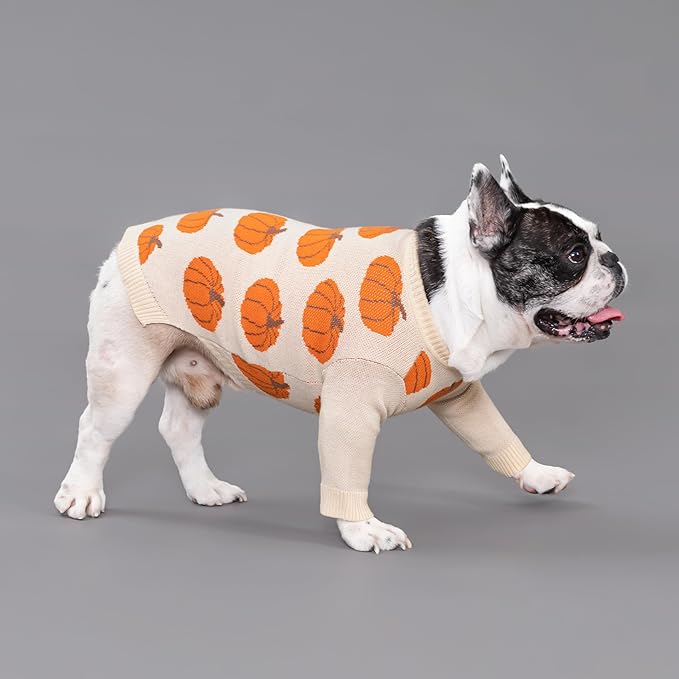 Fitwarm Pumpkin Dog Sweater, Thanksgiving Outfit for Small Dogs Boy Girl, Pet Outfit, Orange, Beige, Small