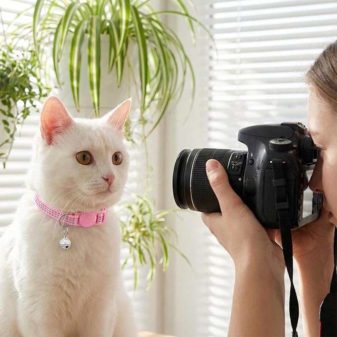 Reflective Cat Collar, Breakaway Cat Collars Kitten Collar with Bells Adjustable Collars for Small Cats Safety Quick Release Safety Buckle 7.9-13 Inches 5 Bright Colors for Small Pets