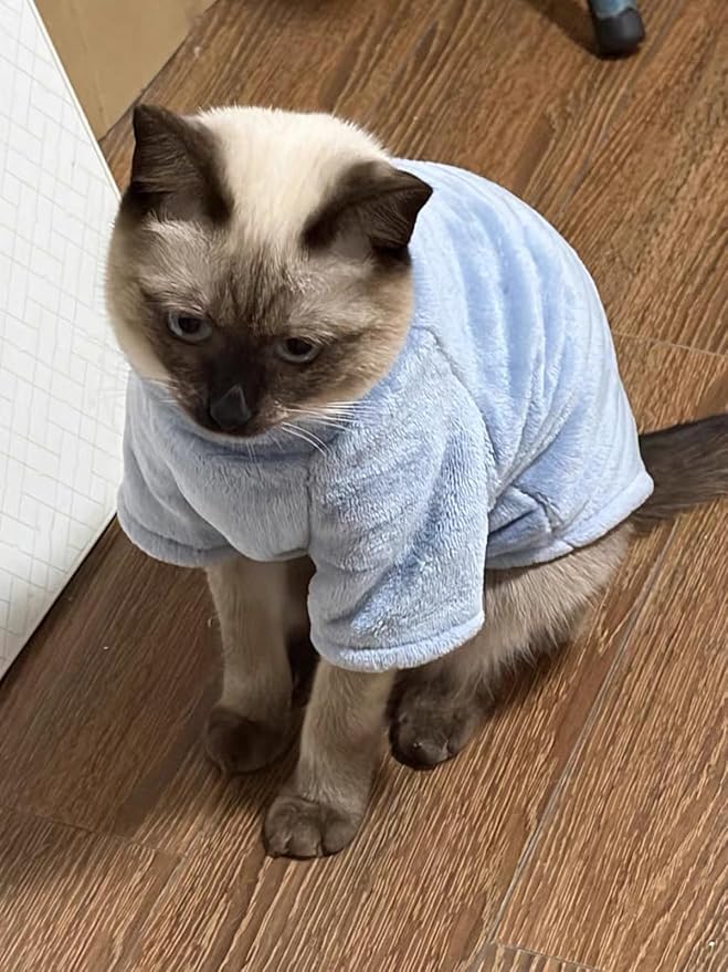 Sphynx Cat Clothes Winter Turtleneck Soft Coral Fleece Cat Clothes Thicken Warm Pajamas Coat for Hairless Cats and Small Cat Apparel with Sleeves (Light Blue, XL (9.3-12.7lbs)
