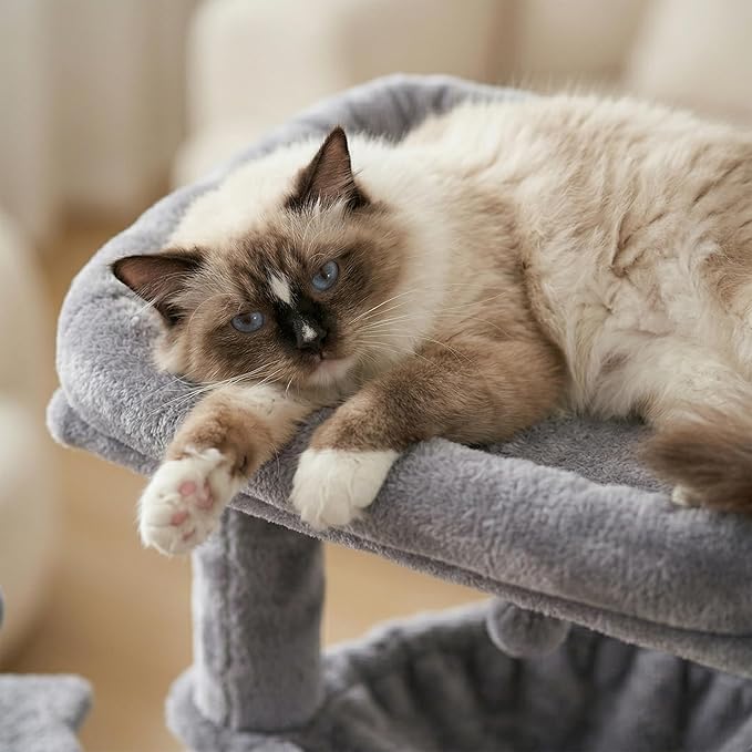 YOUPET CAT Tree (Gray, 34.4")
