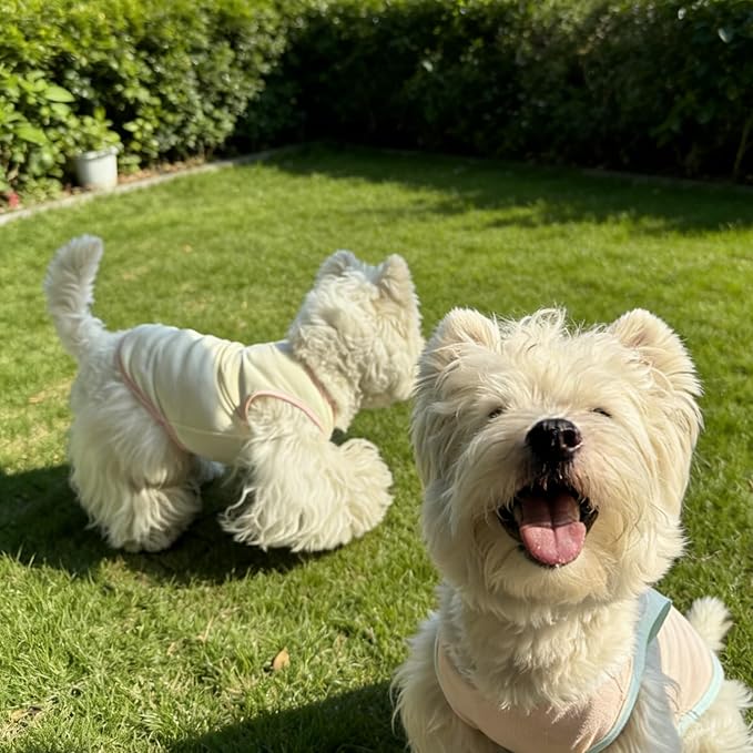 2Pcs Cooling Shirts for Small Dogs, Sleeveless Dog Vest, Lightweight Breathable Dog Summer Tank Top Sun Protection Shirts for Dogs Cats Pet Apparel (Pink Yellow, X-Large Size for 12-16.5lb Pets)