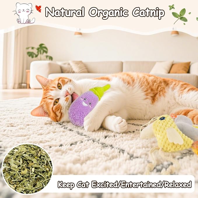 ORSDA Cat Toys Sets, 5 Pack, Built-in Rattle and Crinkle Paper, Interactive Kitten Kicker for Indoor Kitty Exercise Toys, Soft and Durable Bird for All Breeds