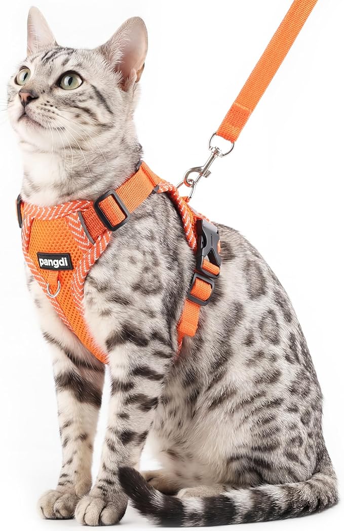 Cat Harness and Leash Escape Proof Large Kitten Harness Ragdoll Cat Vest for Walking Travel, Orange, L