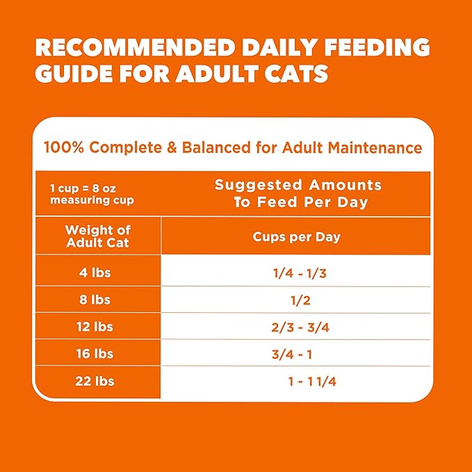 IAMS Proactive Health Dry Cat Food, Healthy Cat Food Dry Recipe for Adults, Salmon, 7 lb. Bag