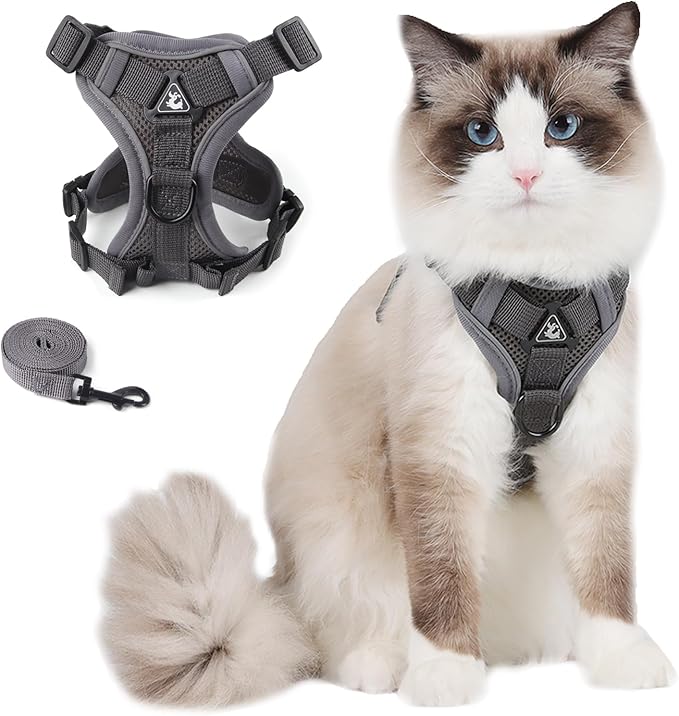 Cat Harness and Leash Set, Escape Proof Adjustable Vest with Leash for Walking with Kittens and Puppies Outdoor, Soft Mesh Jacket with Reflective Strips (M, Grey)