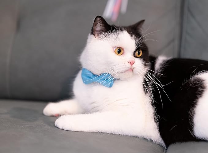 Cat Collar with Bow Tie Bell Breakaway Kitten Small Pet Safety Solid Wedding Basic Pure Color Suede Soft Adjustable [1pc] Khaki