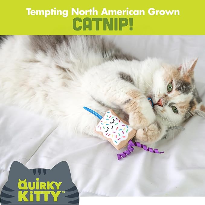 Flingin Purr Tarts Catnip Filled Interactive Cat Toys, Pack of 2