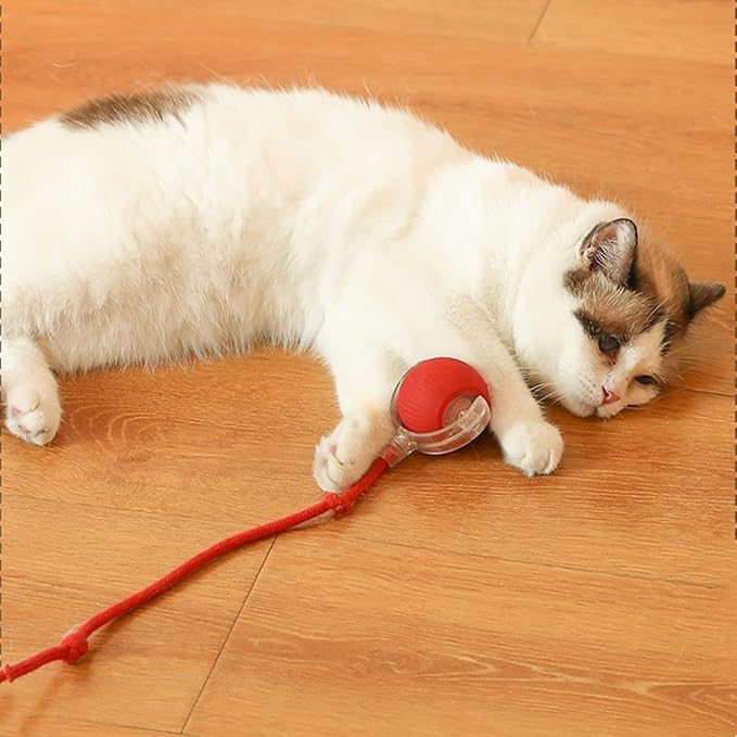 6 Pcs Red Cotton Thread Interactive Cat Toy Ball Replacement Ropes, Tail Accessories for Kitten Rolling Balls - Playtime, Exercise & Daily Fun