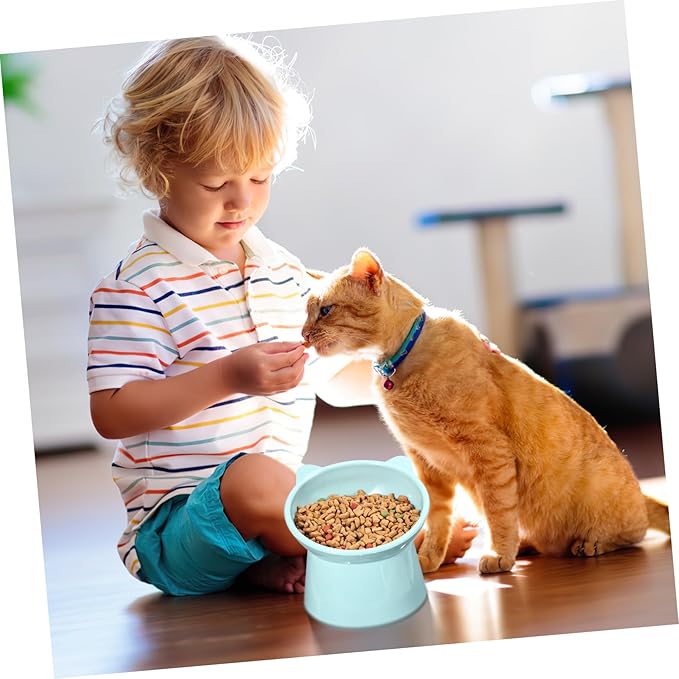 ORFOFE 3pcs Elevated Cat Bowl Raised Cat Food Bowls Slow Feeder for Pet Feeding Watering Supplies