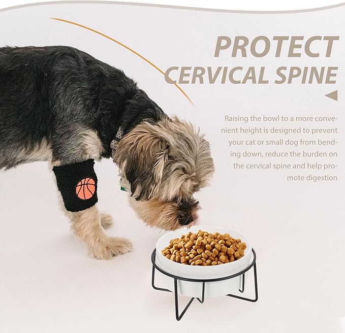 Elevated Cat Food Bowl with Metal Stand, 400ml Ceramic Raised Pet Feeder for Cats and Small Dogs, Non-Slip White Bowl with Black Iron Frame, Suitable for Feeding and Watering