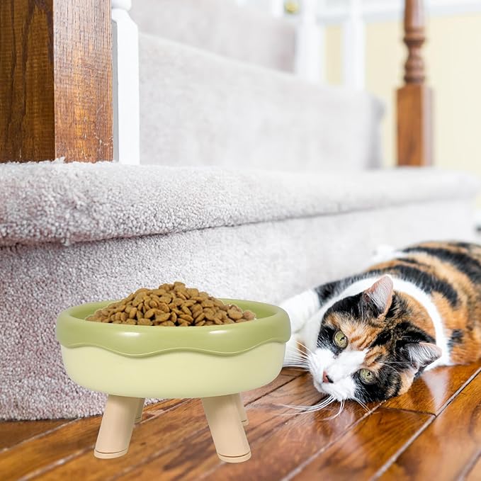VICASKY Raised Cat Bowl and Elevated Kitten Food Dish with Neck Protection, Tilted Design in Grass Green, Anti-Vomit Pet Feeding and Watering Bowl for Cats and Kittens