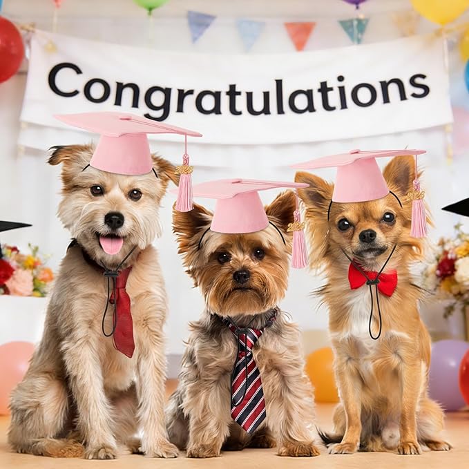 JULMELON Pet Graduation Caps with 2026 Pink Tassels, Dog and Cats Graduation Pink Hats Adjustable Mini Graduation Caps for AKC Graduation Photo Props Holiday Costume Accessories