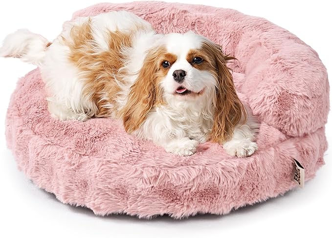 EHEYCIGA Soft Cat Couch Bed for Indoor Cats, Fluffy Small Dog Bed with Removable Washable Cover, Bolster Pet Sofa, Waterproof and Non-Slip, 26" x 26"x 8", Pink