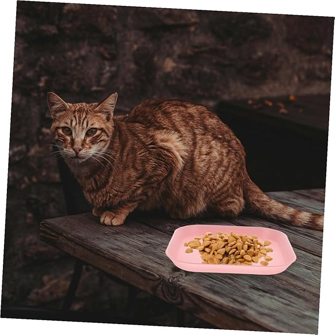 Beaupretty 8pcs Shallow Square Cat Bowls Kitten Food Dishes Set Small Size Multi-Color for Indoor Feeding and Watering
