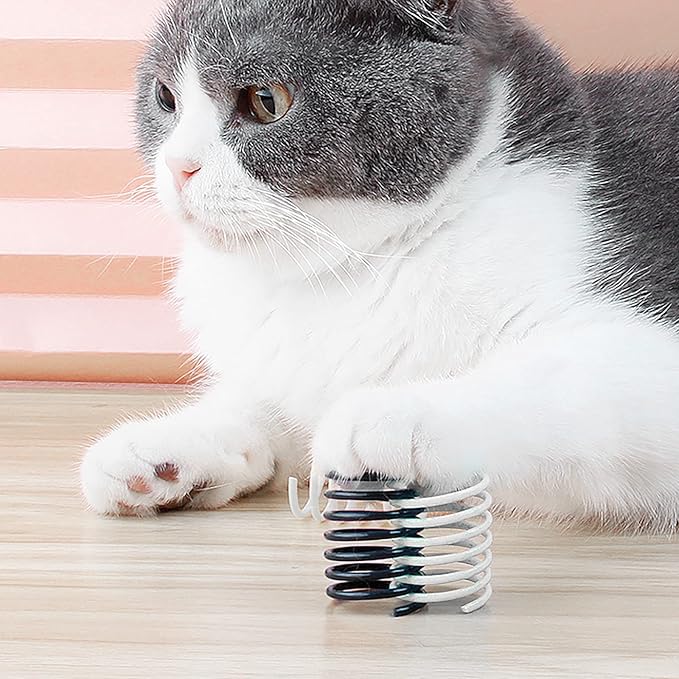 Andiker Cat Springs for Indoor Cats, 12Pc Cat Creative Toy to Kill Time&Keep Fit Interactive Cat Toy Black&White Springs Cat Toy for Biting(Black+White)