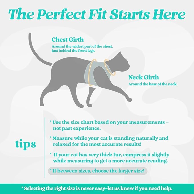 rabbitgoo Cat Harness and Leash Set for Walking Escape Proof, Adjustable Soft Kittens Vest with Reflective Strip for Cats, Comfortable Outdoor Vest,Green,S