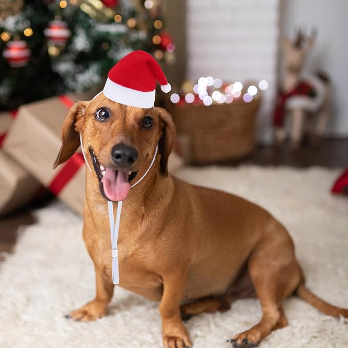 Jmkcoz 6 Pieces Pet Cat Dog Christmas Santa Hat Holiday Party Cute Costumes for Puppy Kitten Christmas Cosplay Dress Up Supplies (Striped)