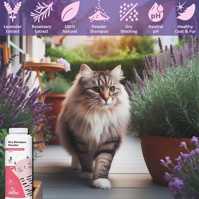 Cat Dry Shampoo Powder (2 Pack) with Lavender and Rosemary for Cats 5.29 fl. oz| Grooming for Cat | Kitten Sensitive Skin | Cleansing and Moisturizing Perfume and Talc Free (2)