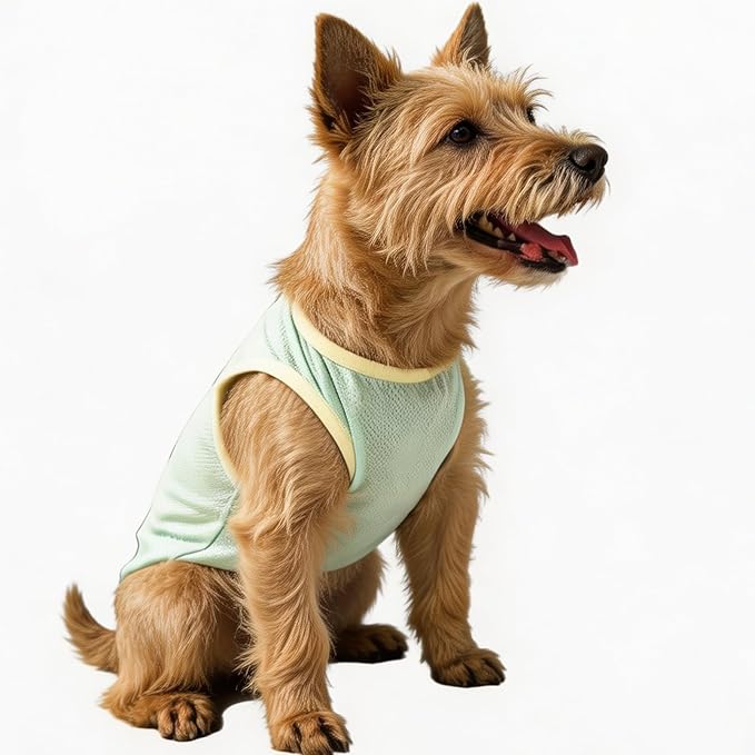 2Pcs Cooling Shirts for Small Dogs, Sleeveless Dog Vest, Lightweight Breathable Dog Summer Tank Top Sun Protection Shirts for Dogs Cats Pet Apparel (MintGreen Pink, Medium Size for 5.0-8.5lb Pets)