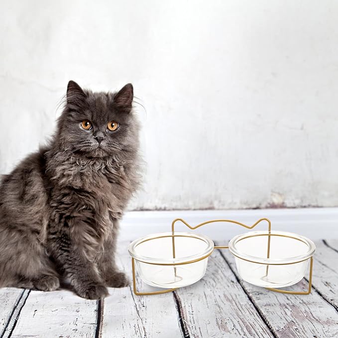 GALPADA Elevated Double Pet Feeder Set with Ceramic Bowls and White Metal Stand, Inclined Raised Cat and Dog Food Bowls for Indoor Feeding and Watering