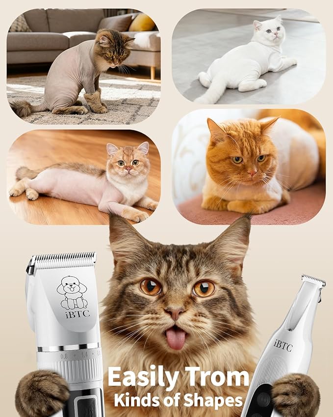 iBTC Professional Dog Grooming Kit at Home: All-in-One Quiet Clippers & Nail Grinder with LED Light, Cordless Dog Shaver, Safe Poodle Grooming Kit for Paws, Face, Ears & Body（White Combination）