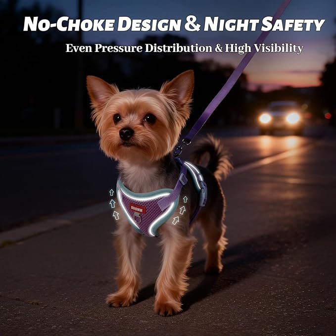Cat Harness and Leash Set Escape Proof, Soft Mesh Cat Vest Harness and Leash for Walking and Training, Adjustable Reflective Kitten Harness and Leash Set for Small Dogs and Cats (Purple, XL)