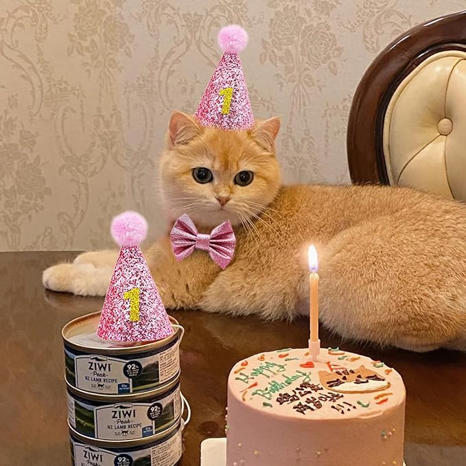 Cat Birthday Hat Girl Happy Birthday Decorations Outfit Banner Party Supplies Bow tie Collar Catnip Chew Biting Kick Toys for Cat Girl (Pink)