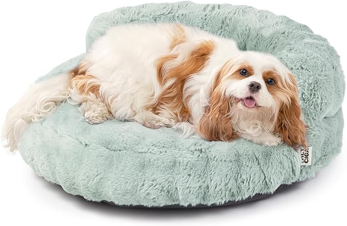 EHEYCIGA Soft Cat Couch Bed for Indoor Cats, Fluffy Small Dog Bed with Removable Washable Cover, Bolster Pet Sofa, Waterproof and Non-Slip, 23" x 23"x 7", Green