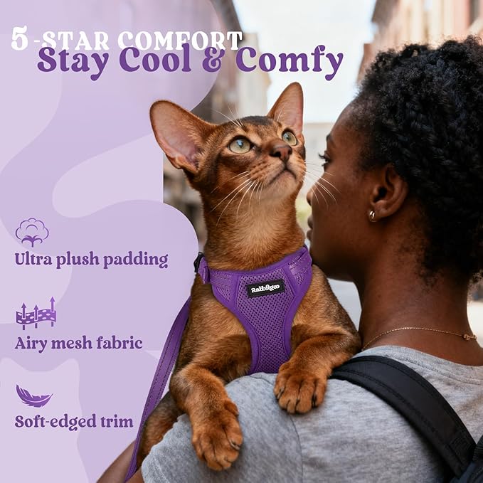 rabbitgoo Cat Harness and Leash, Escape Proof Vest with 3 Adjustable Buckles, Soft Comfortable Kitten Harness, Easy to Wear, Reflective for Safe Outdoor Walking, XS, Purple