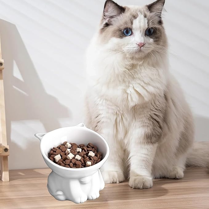 Elevated Cat Food Bowl, Raised and Tilted Water Bowl, Anti Vomiting and Protect Pets' Spines Dishes for Small Dog, Fat Faced Cat, Kitten (White)