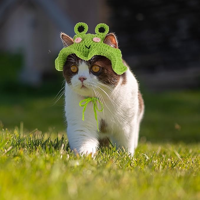 Piriuuo Frog Cat Hat, Cotton & Soft Cute Knitted Cat Hat Birthday Party Christmas Puppy Hats for Small Pets (Green, M)